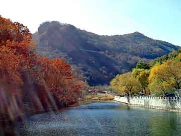 正版澳门天天开彩大全，都市校园